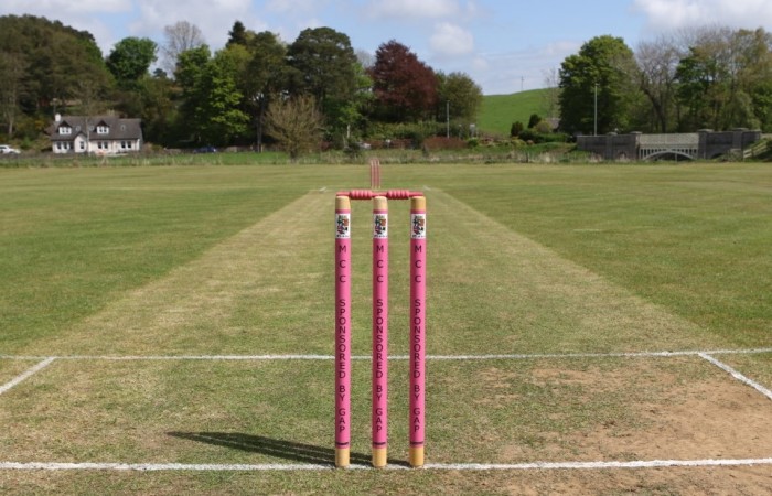 Lairds wicket prep 6 (Custom)